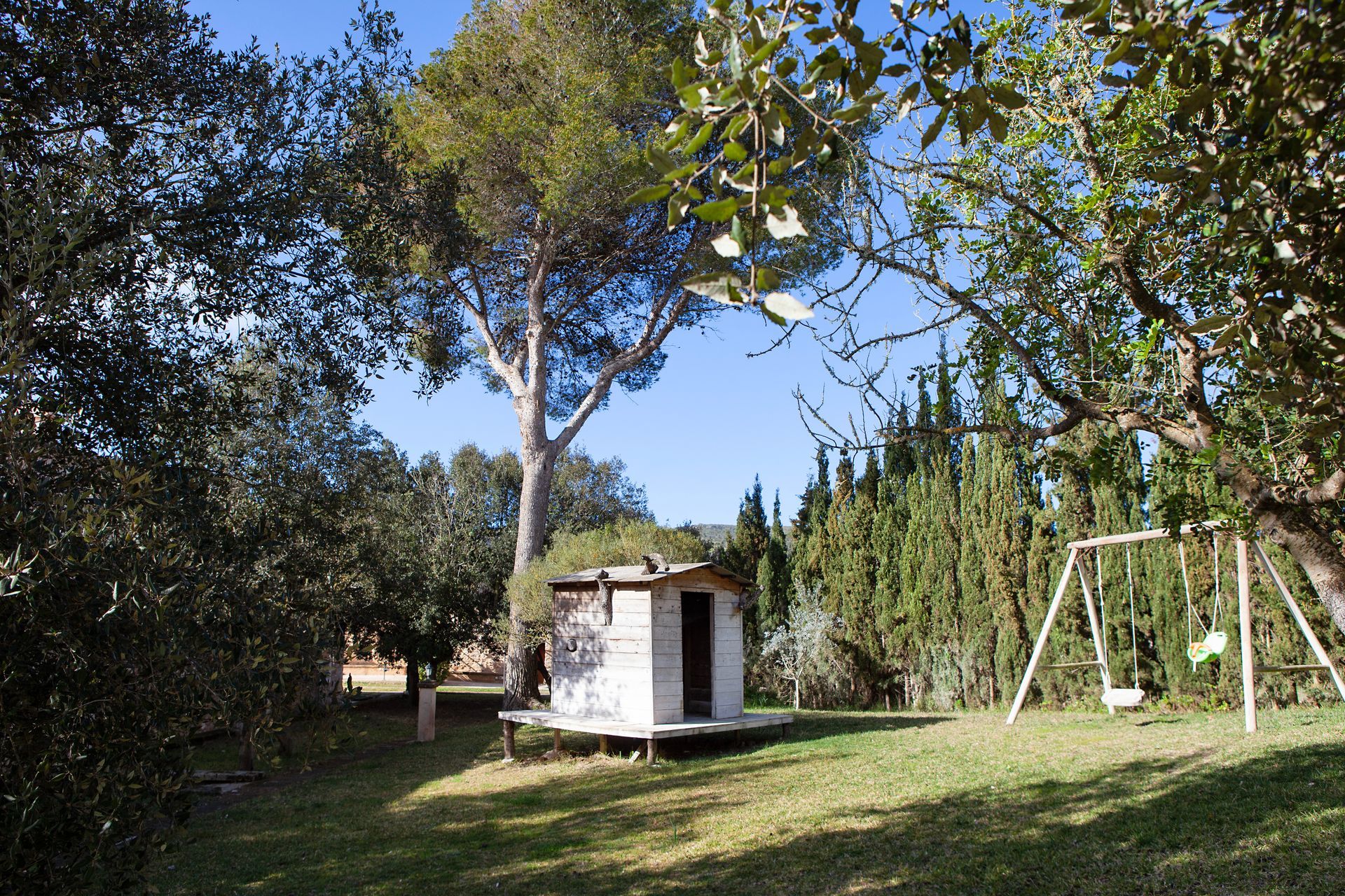 A shed is sitting in the middle of a lush green field surrounded by trees.