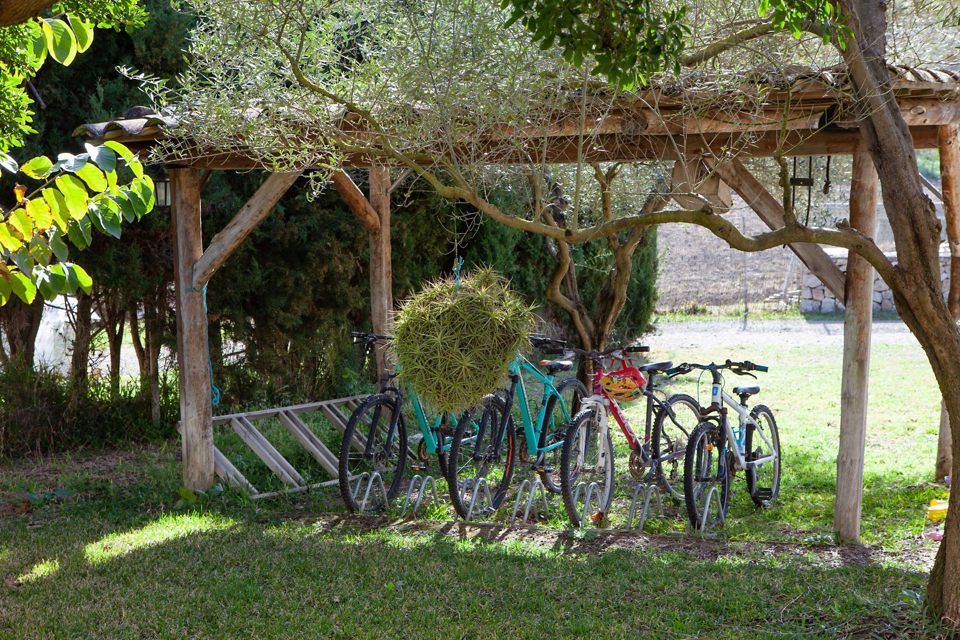 A row of bicycles are parked under a wooden structure.