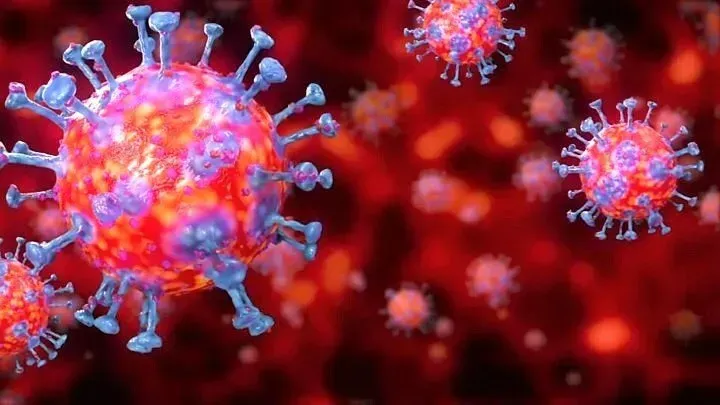 Does the SARS-Cov-19 Virus Exist