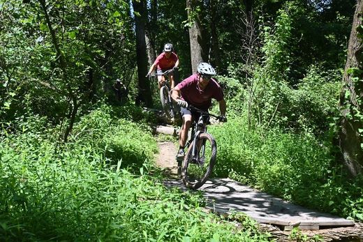 mountain bike riders in the woods