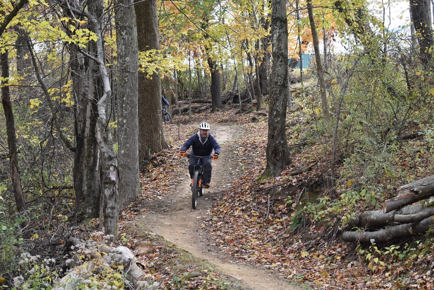 mountain bike riders in the woods
