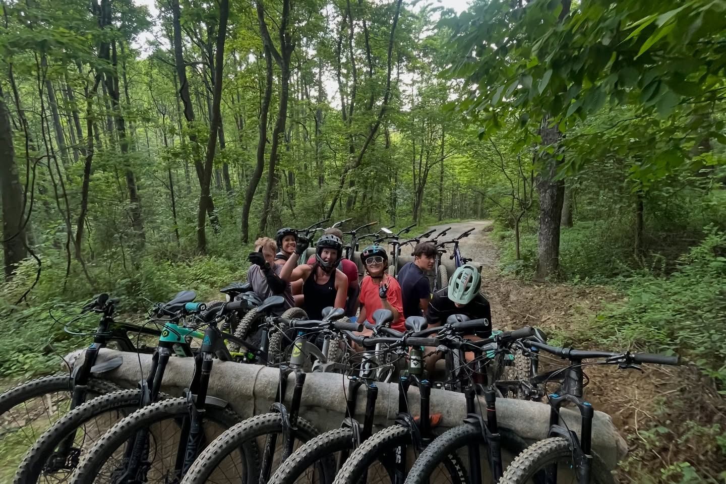 mountain bike riders in the woods
