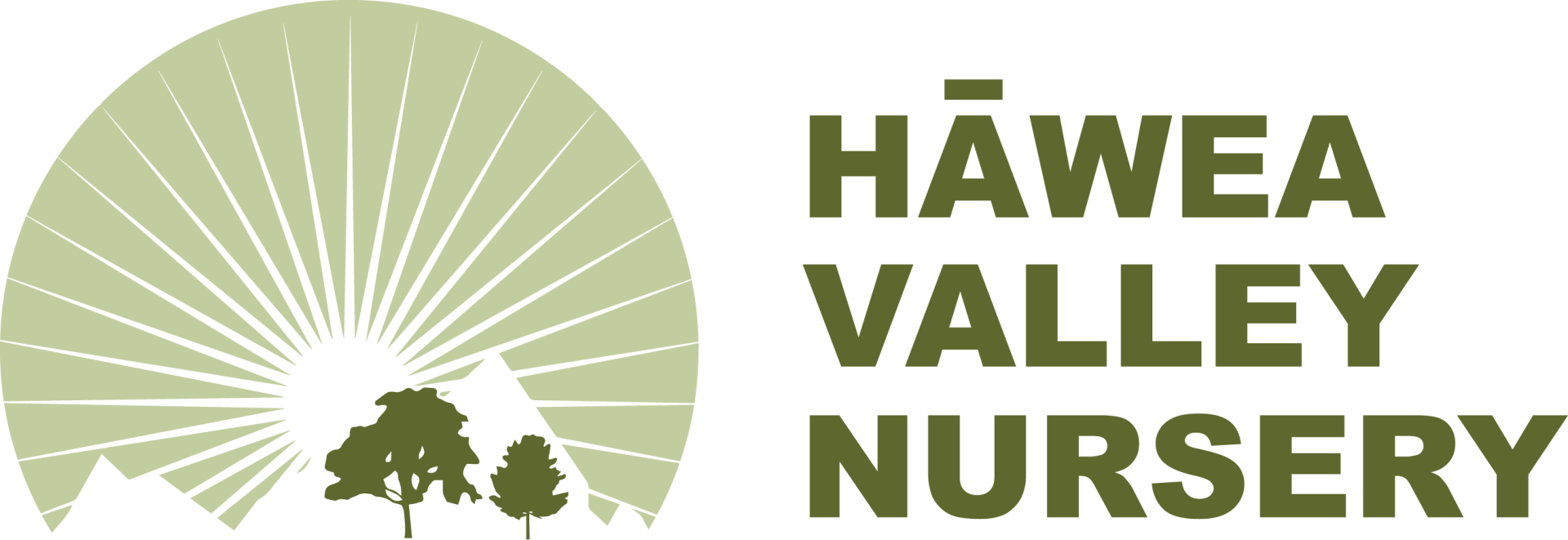 hawea valley nursery logo