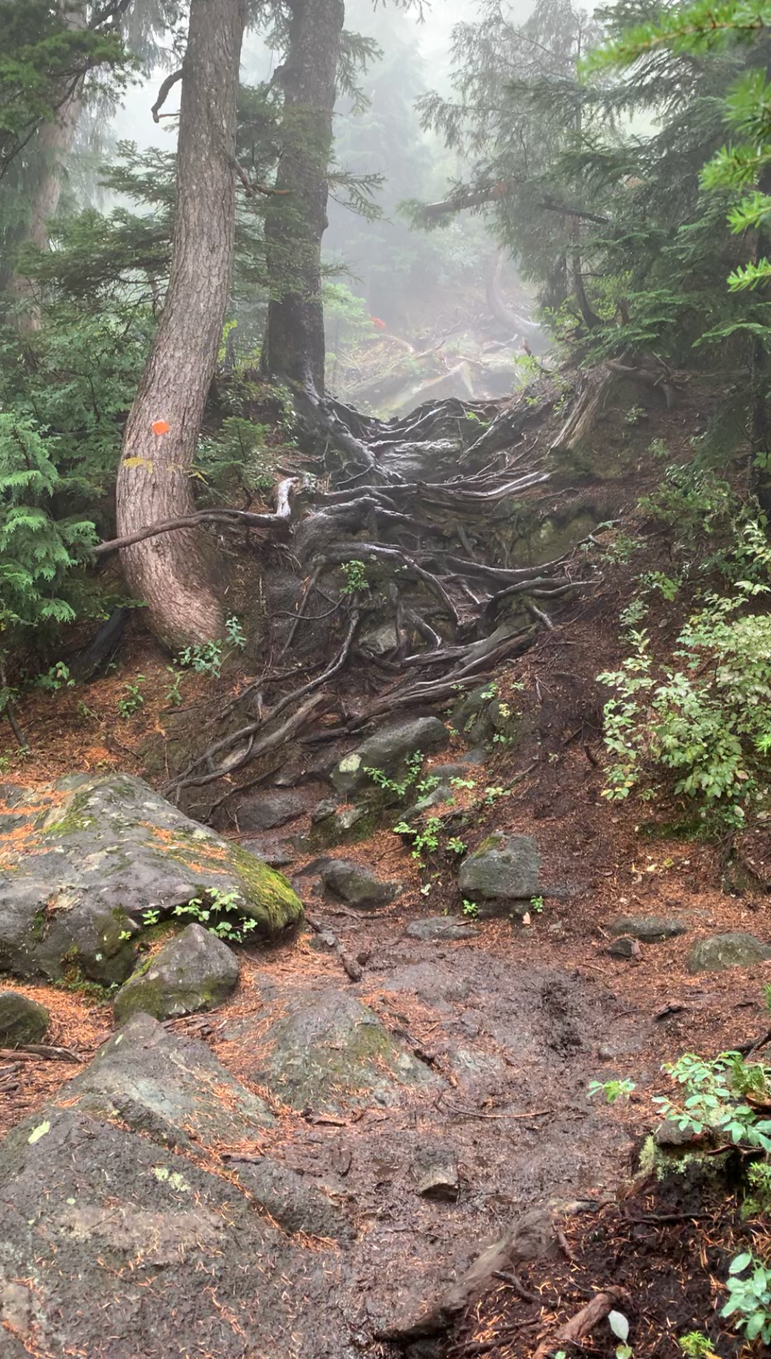 Rocky trail at Golden Ears Provincial Park, BC, Canada