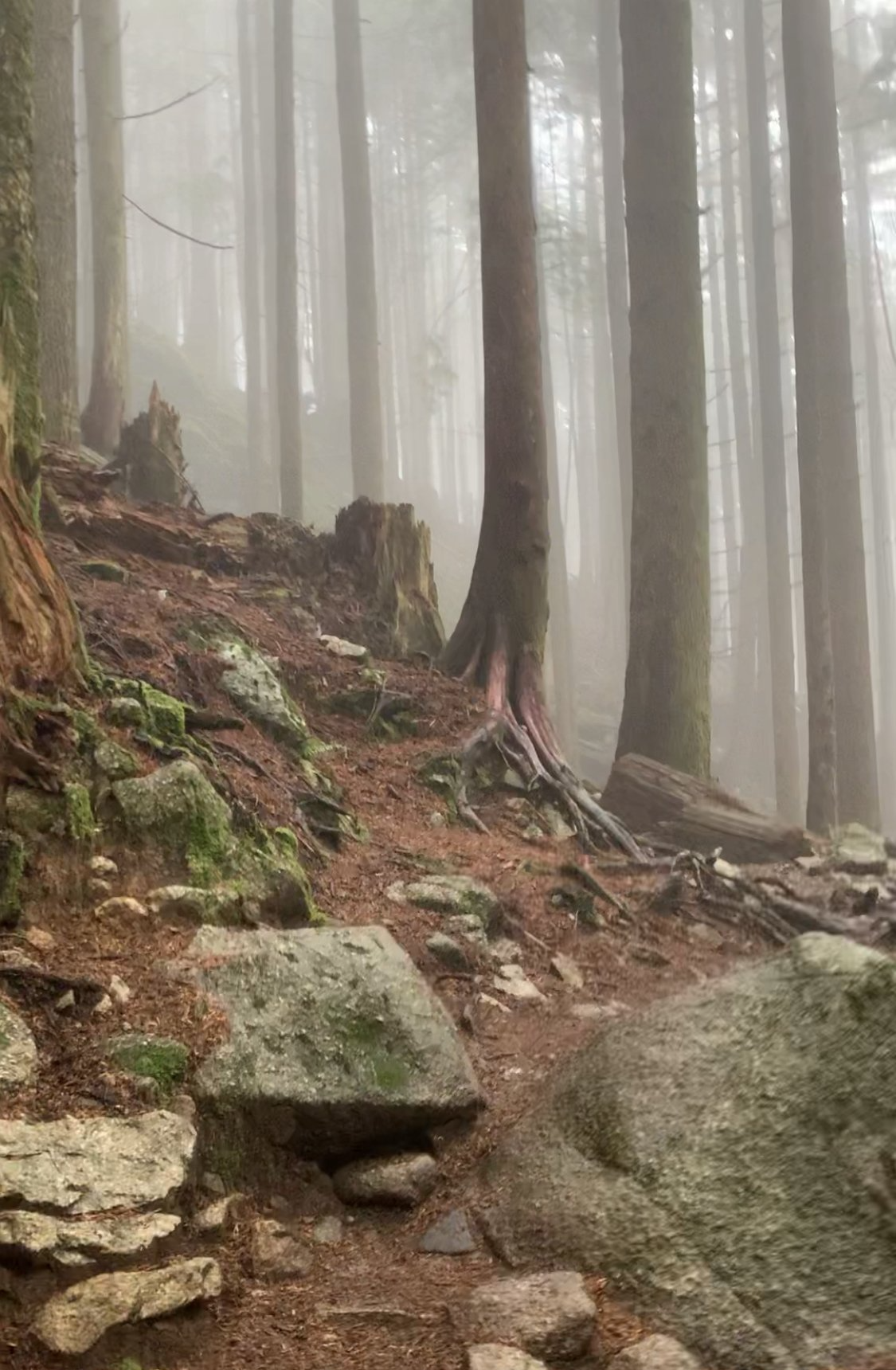 Rocky trail at Golden Ears Provincial Park, BC, Canada