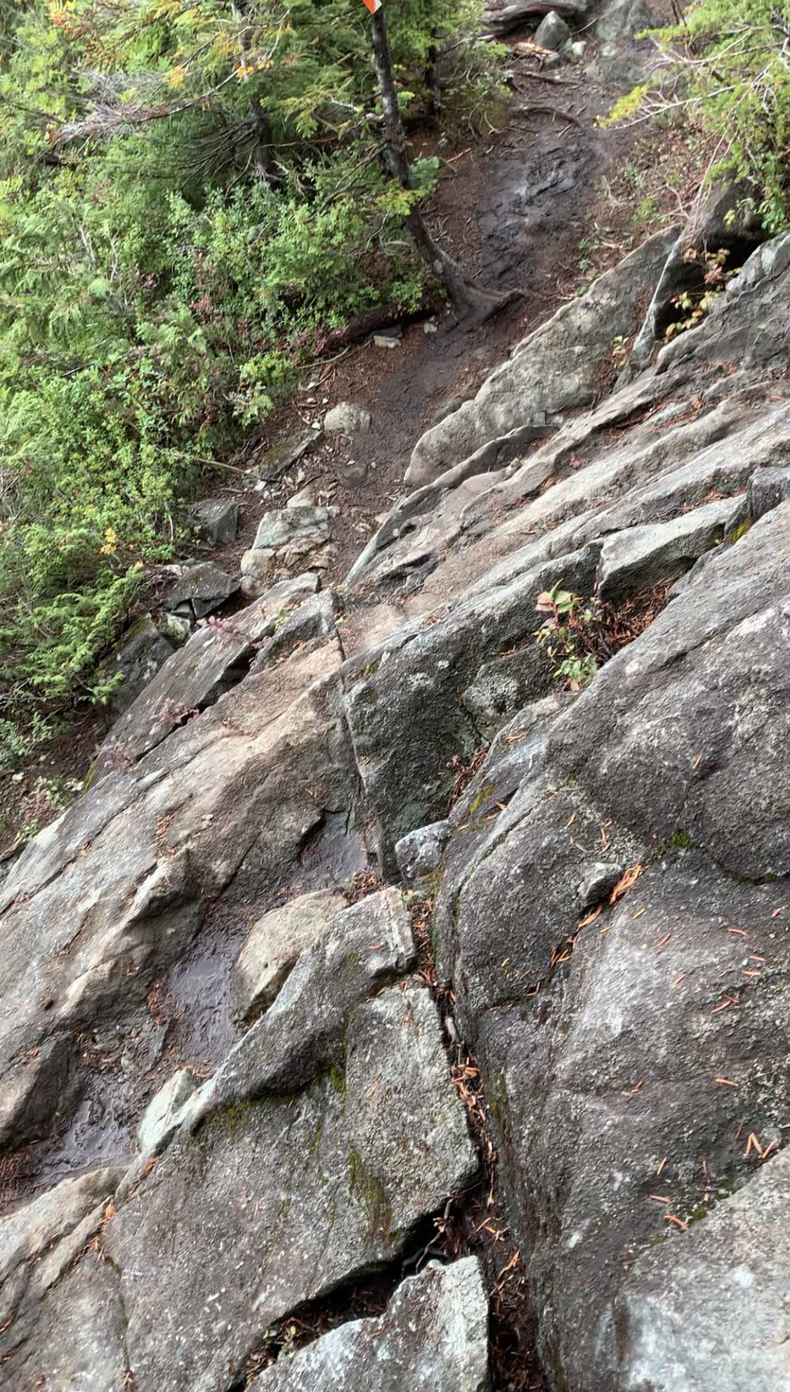 Rocky trail at Golden Ears Provincial Park, BC, Canada