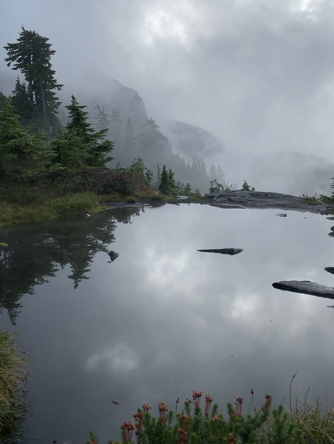Puddle at Golden Ears mountain, BC, Canada