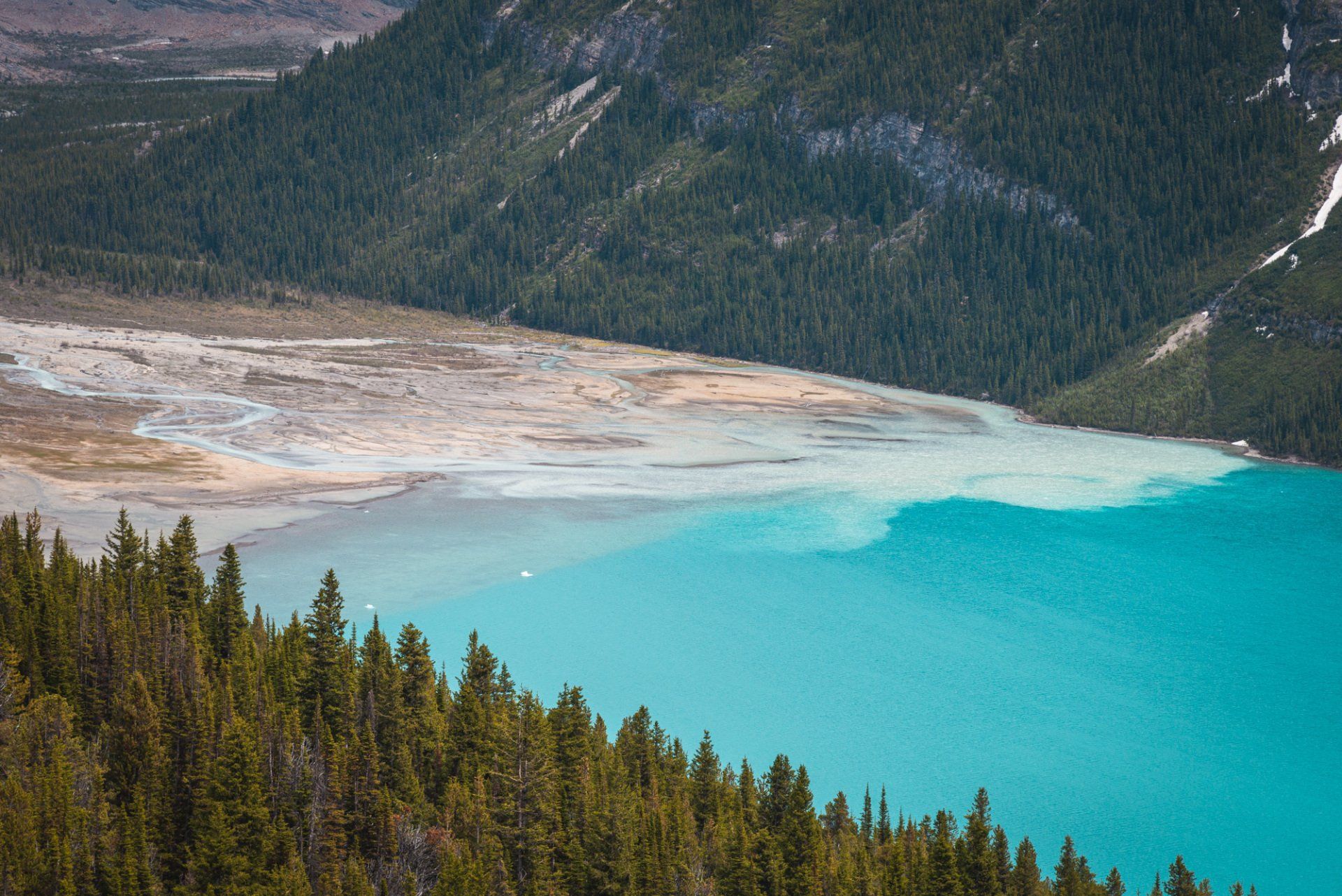 Berg lake delta, mt Robson park, BC, Canada. Turquoise lake and mountains touched with first rays of morning sun