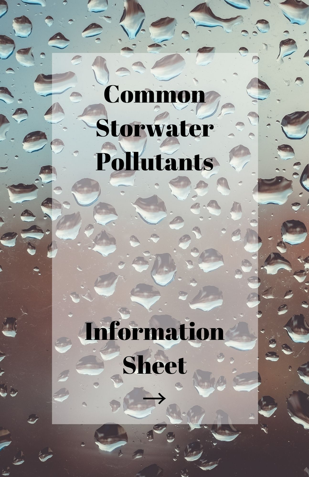 Common Stormwater Pollutants