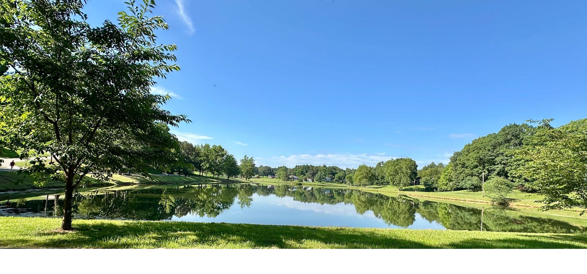 Sunny park lake with trees and clear blue sky reflected in calm water