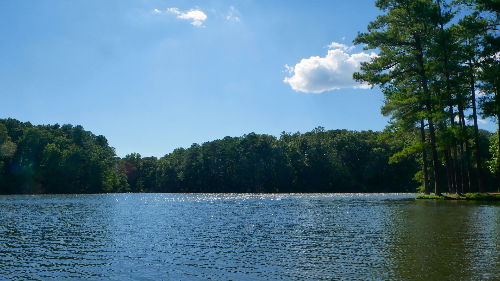 Calm lake under a blue sky with scattered clouds, surrounded by trees and forested shoreline.