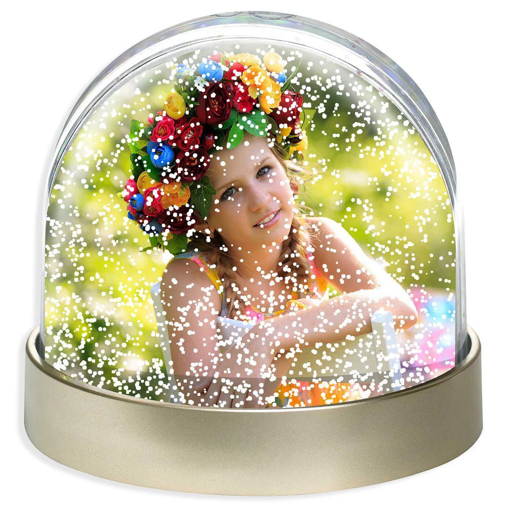 SNOW PHOTO DOME image