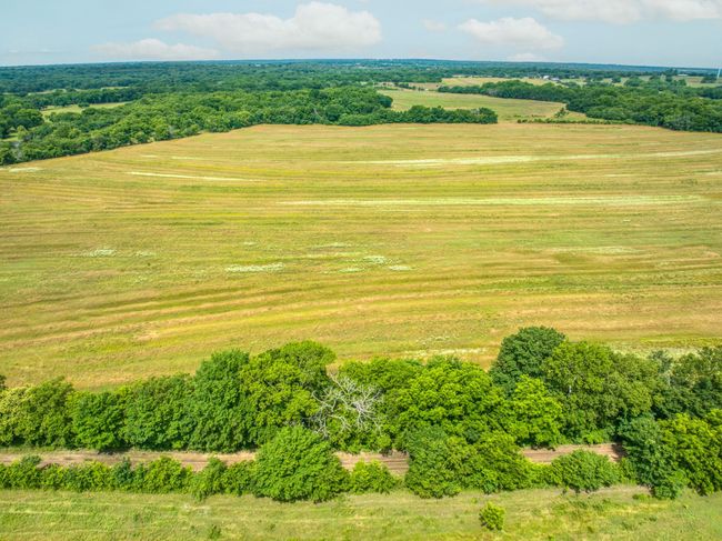 Expansive farmland bordered by trees under a partly cloudy sky.