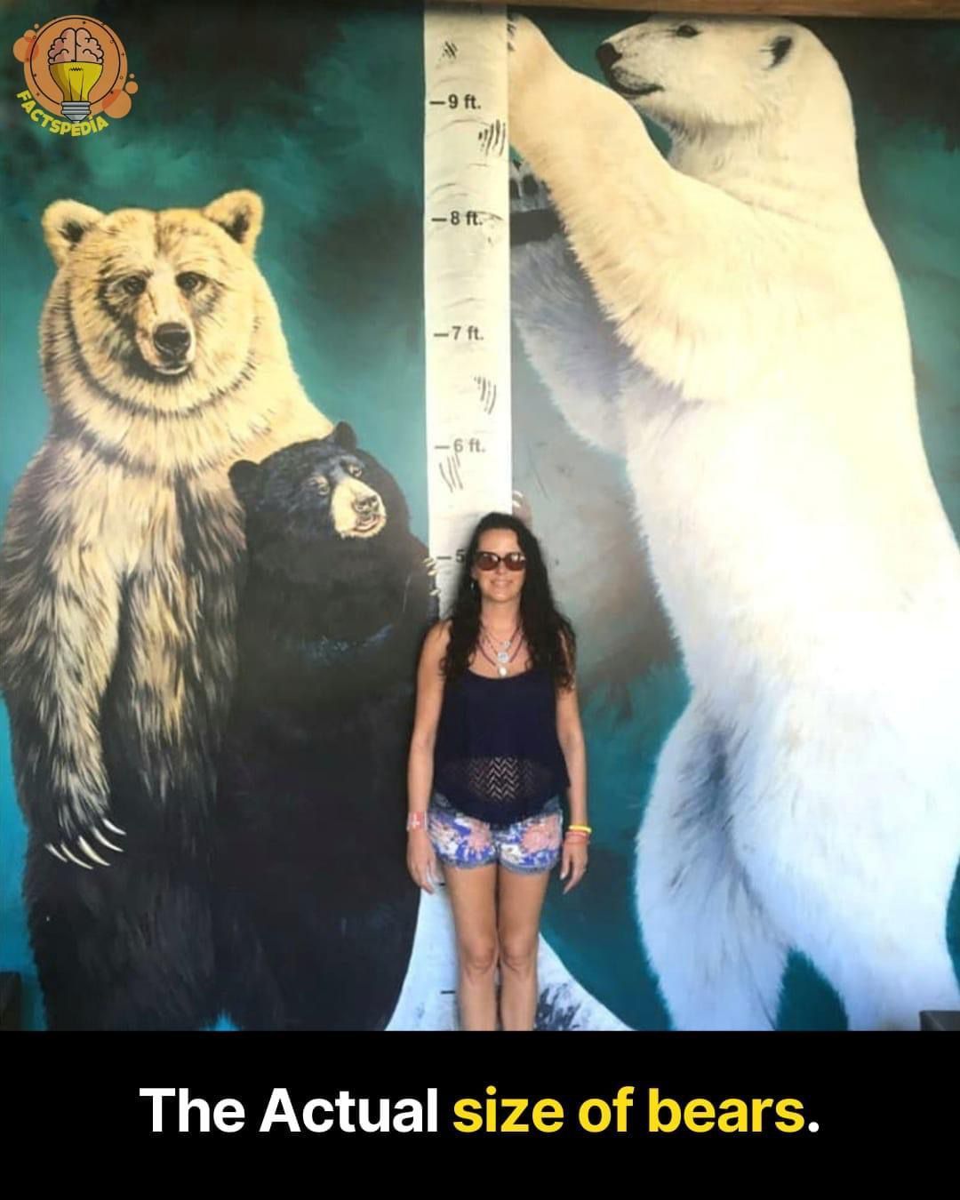 A woman stands in front of a painting of a polar bear is Juneau AK measuring her height compared to a polar bear. Tour Guide