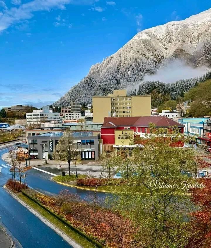 An aerial view of a city with a mountain in the background in Juneau AK. Local Tour Guide in Juneau, AK. Unique Juneau Tours