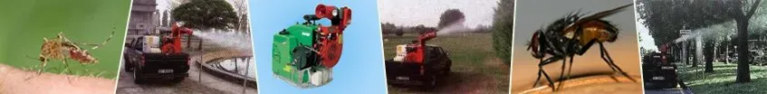 Collage di sei piccole immagini, tra cui insetti, una motocicletta, un oggetto verde e un veicolo rosso.