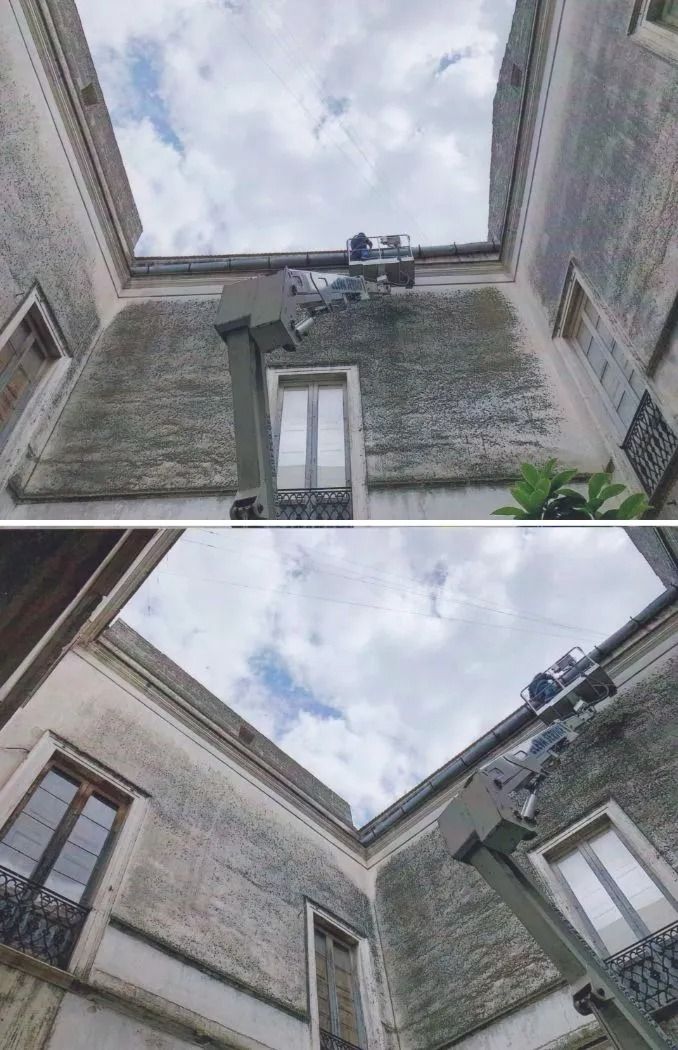 Alzando lo sguardo, si scorgono le mura in pietra dell'edificio e le finestre che incorniciano un cielo nuvoloso.