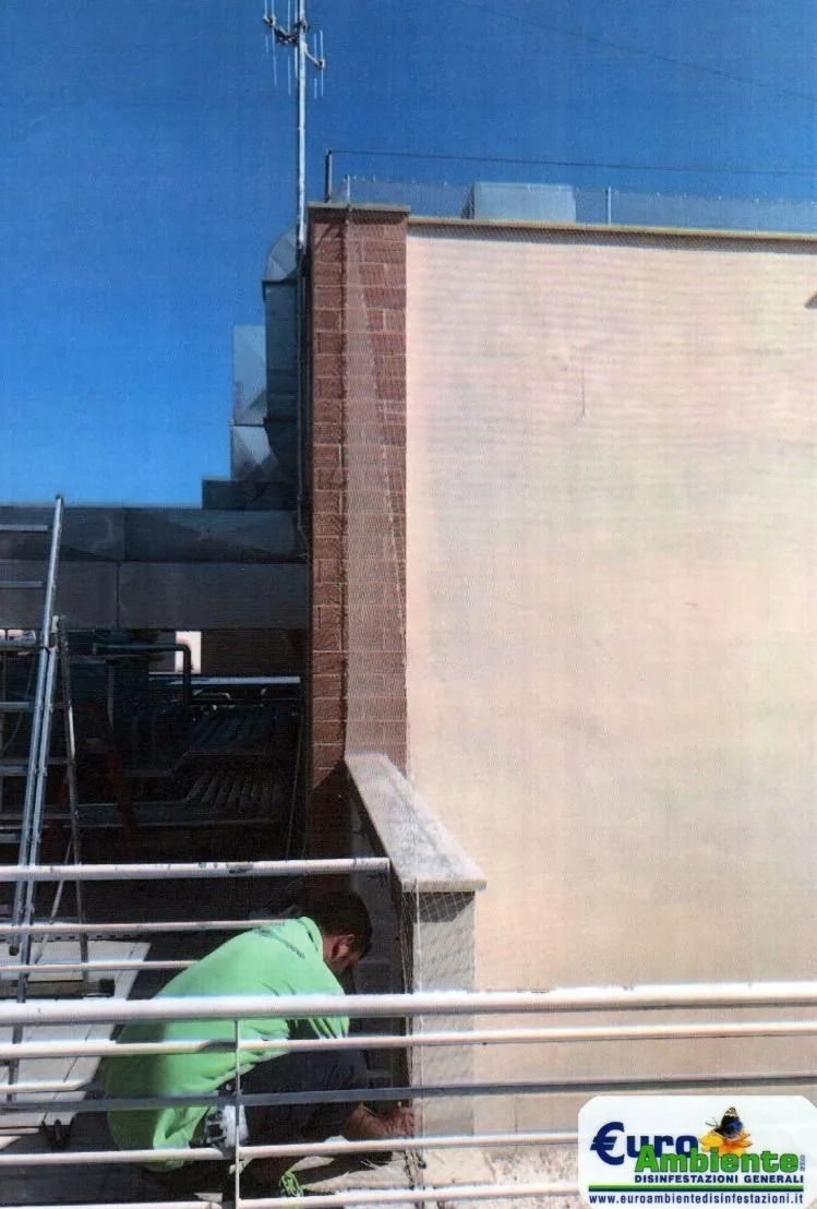 Una persona vestita di verde si trova su un tetto vicino a una ringhiera, con un alto edificio color beige sullo sfondo di un cielo azzurro.