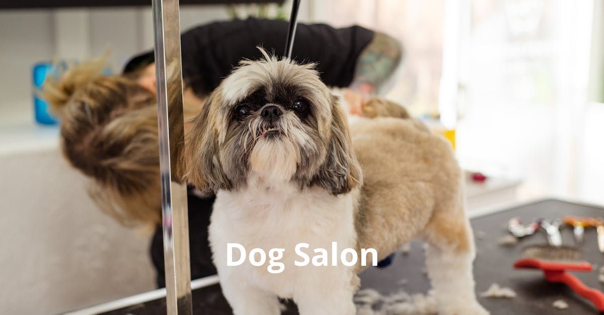Dog Salon