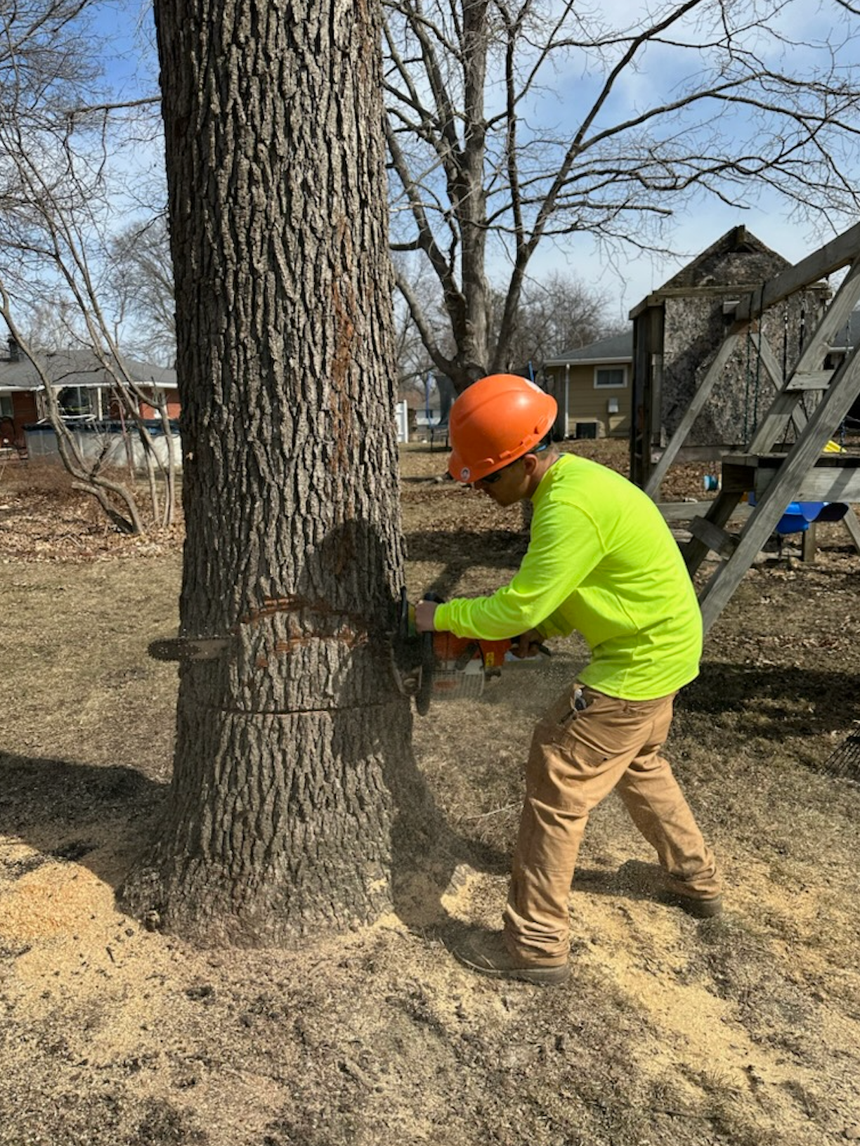 A man is cutting a tree with a chainsaw.