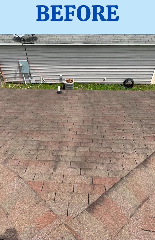 A picture of a roof before being cleaned.
