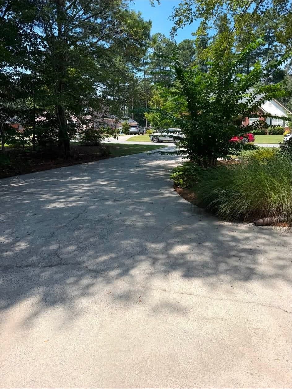 Curving concrete driveway shaded by trees, with houses and landscaping in the background.
