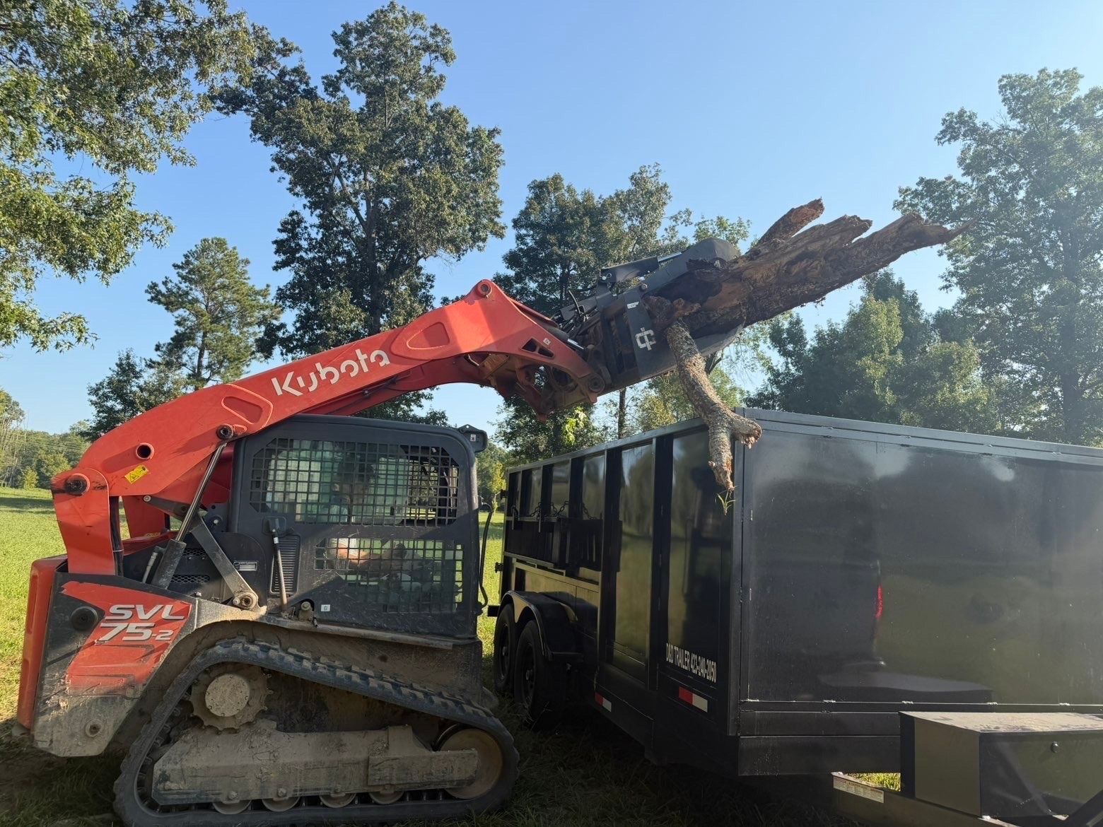 Orange Kubota skid steer loading brush into a black trailer outdoors under trees