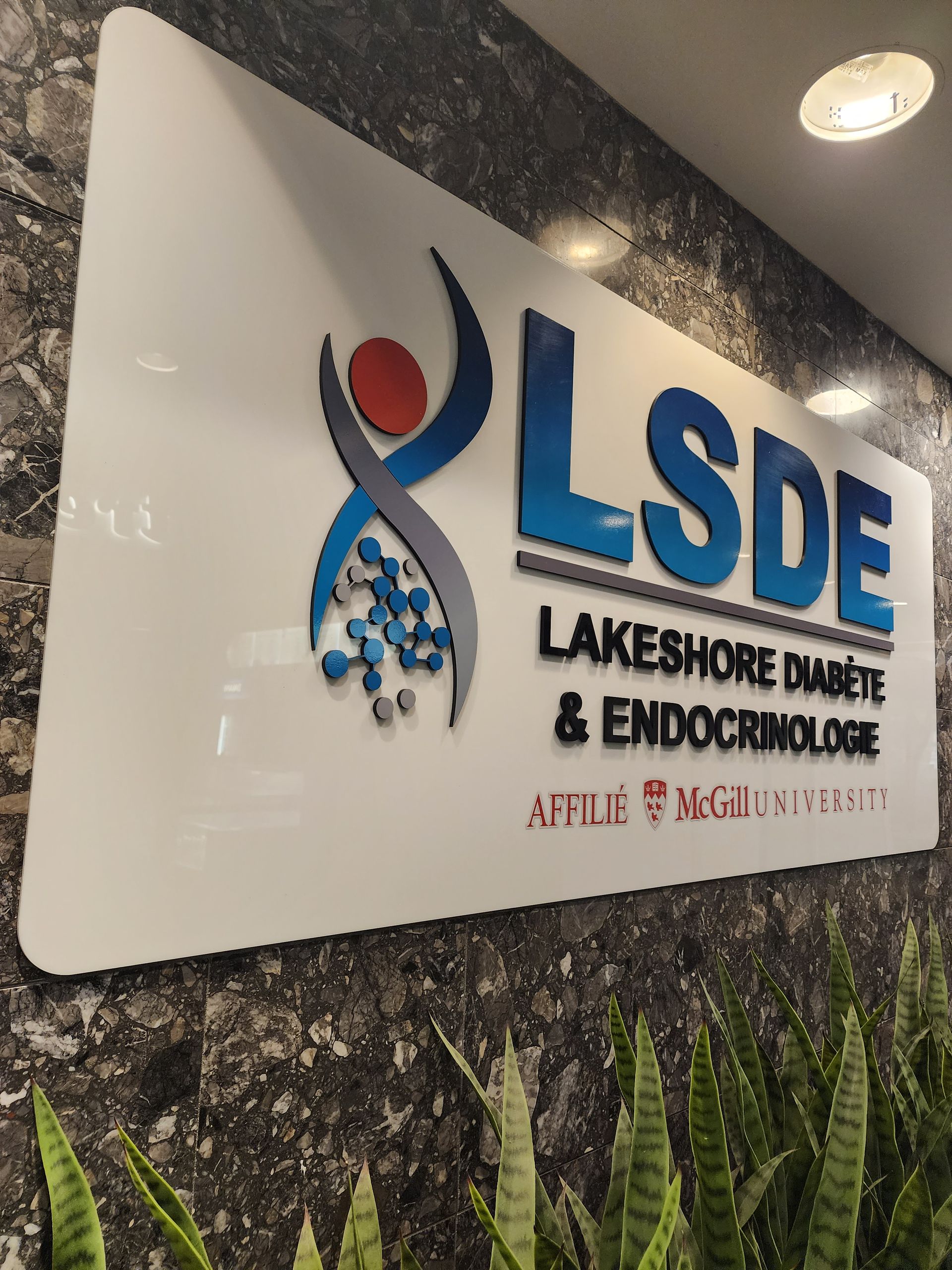 LSDE Lakeshore Diabetes & Endocrine clinic sign on a wall with a graphic of a person and a DNA helix.