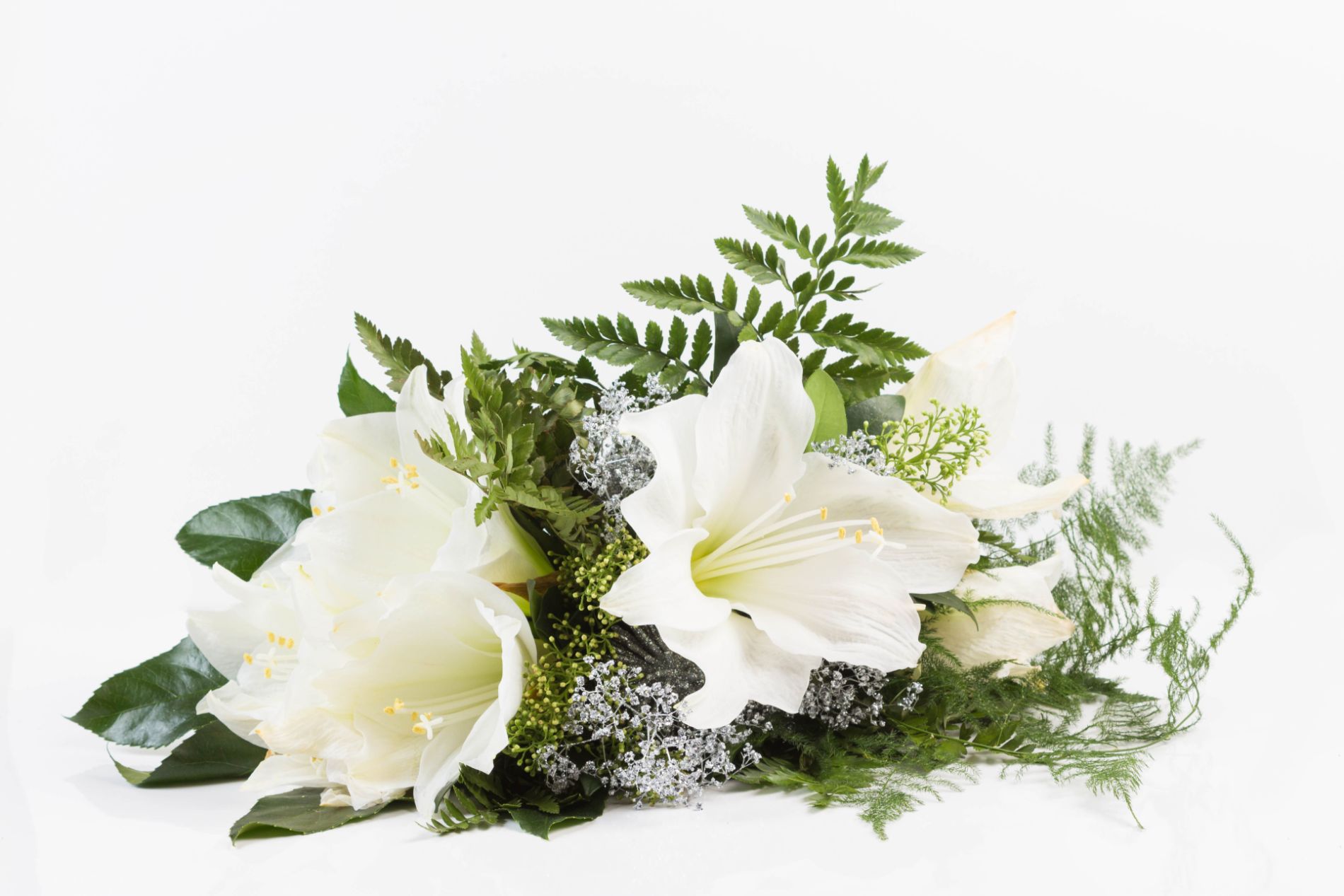 Un mazzo di fiori bianchi e verde su uno sfondo bianco.