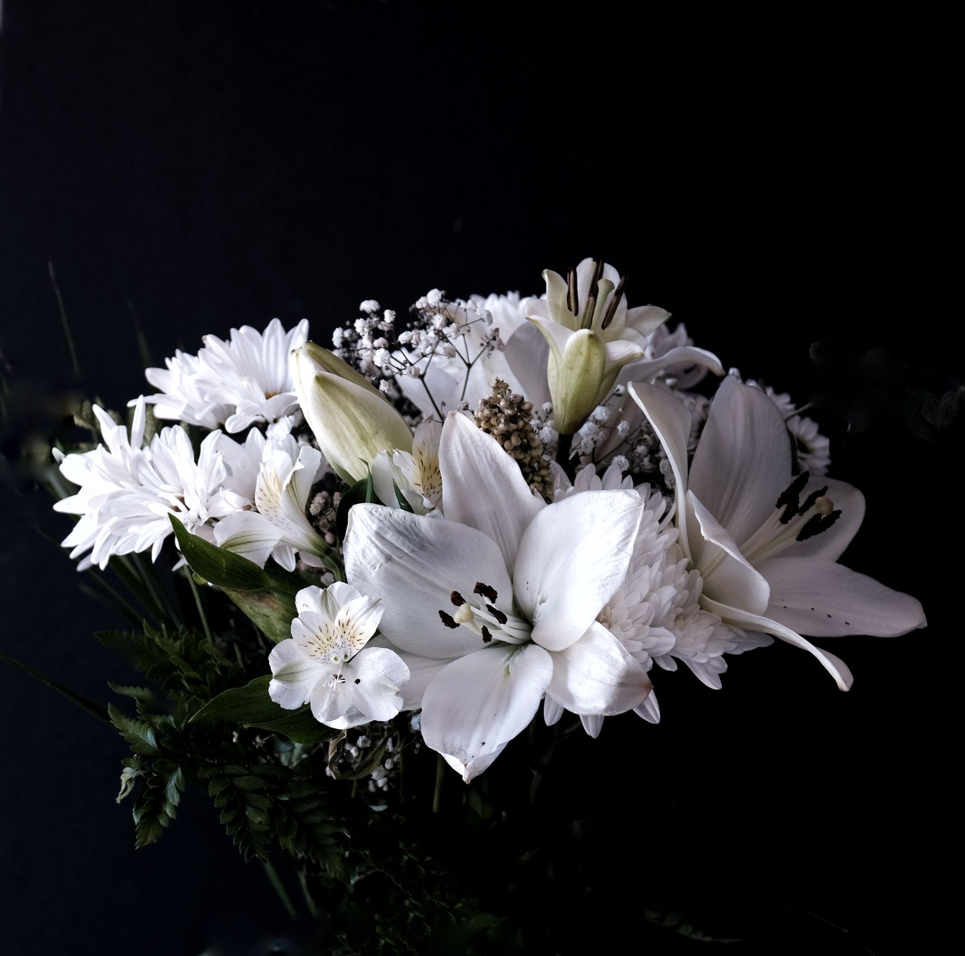 Un mazzo di fiori bianchi su sfondo nero