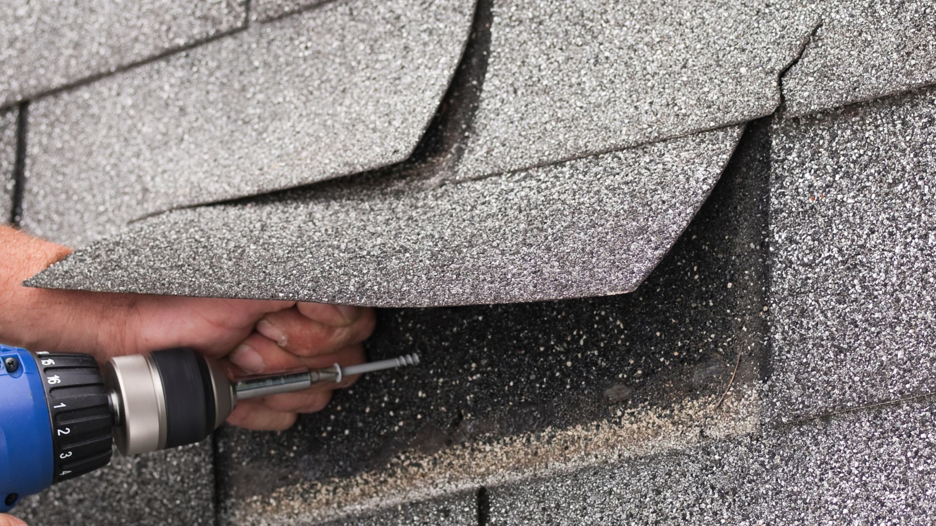 Roof Maintenance