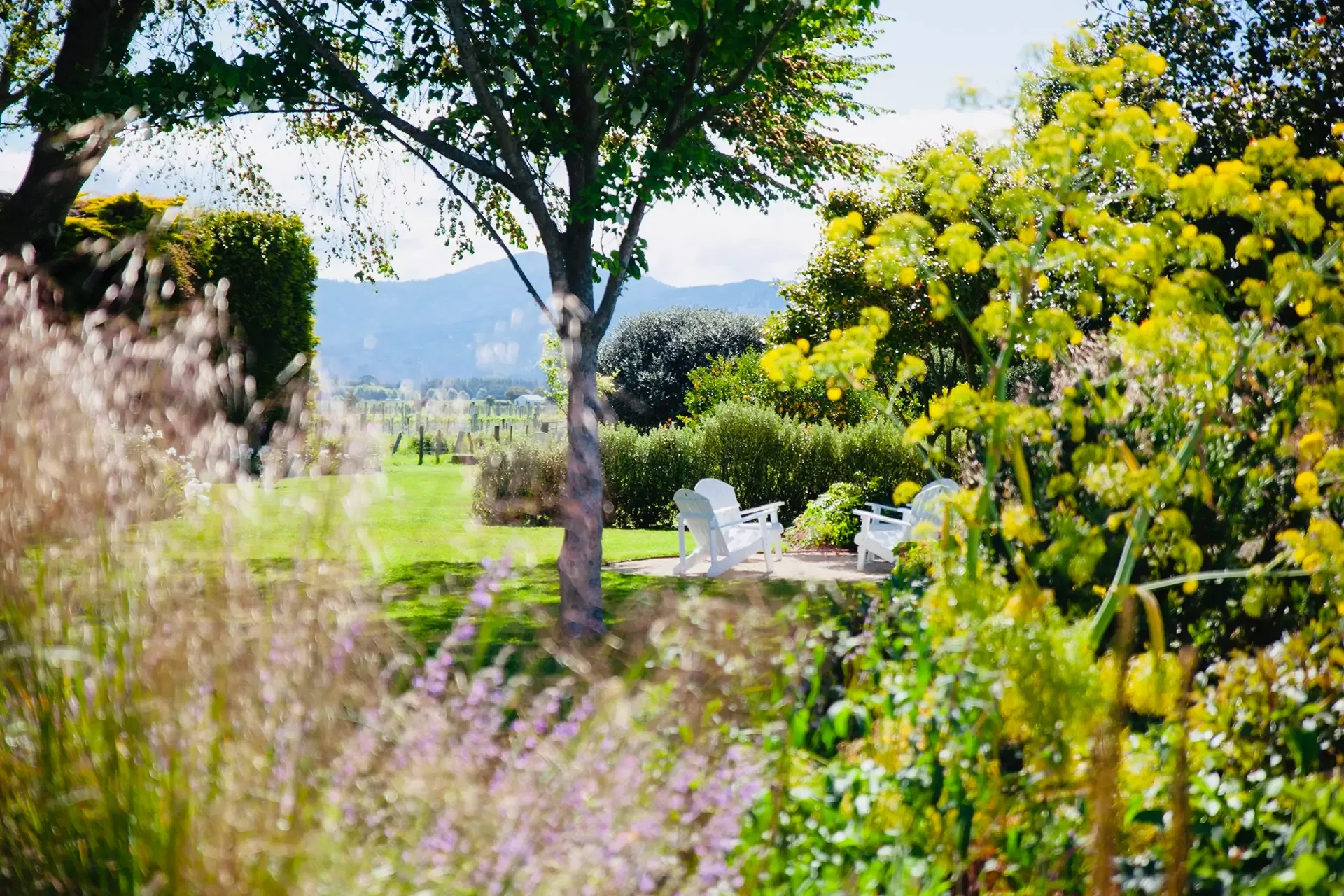 Eliza's Garden Cottage - Vineyard Accommodation in Marlborough