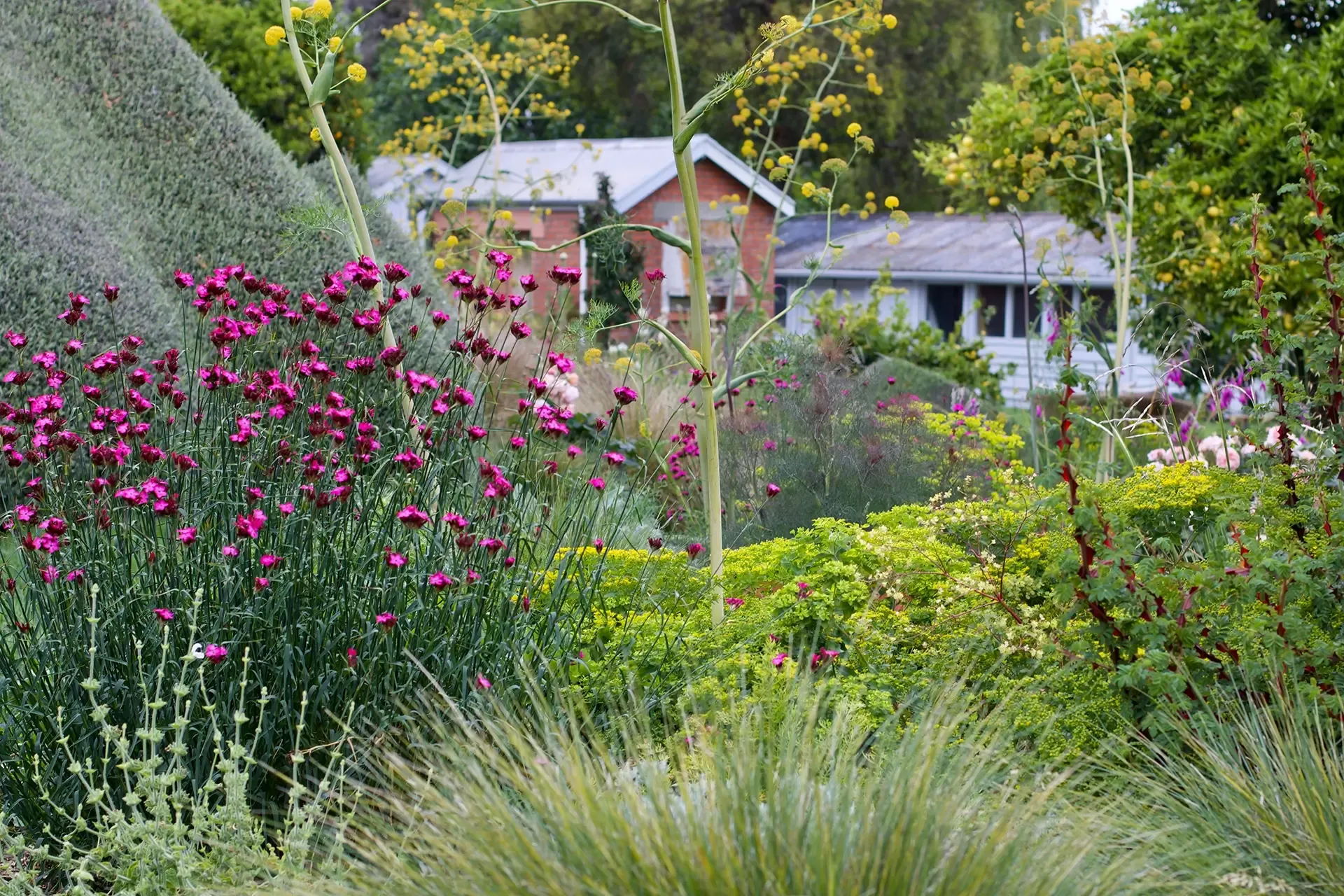 Welton House - Private Garden & Homestead Marlborough NZ