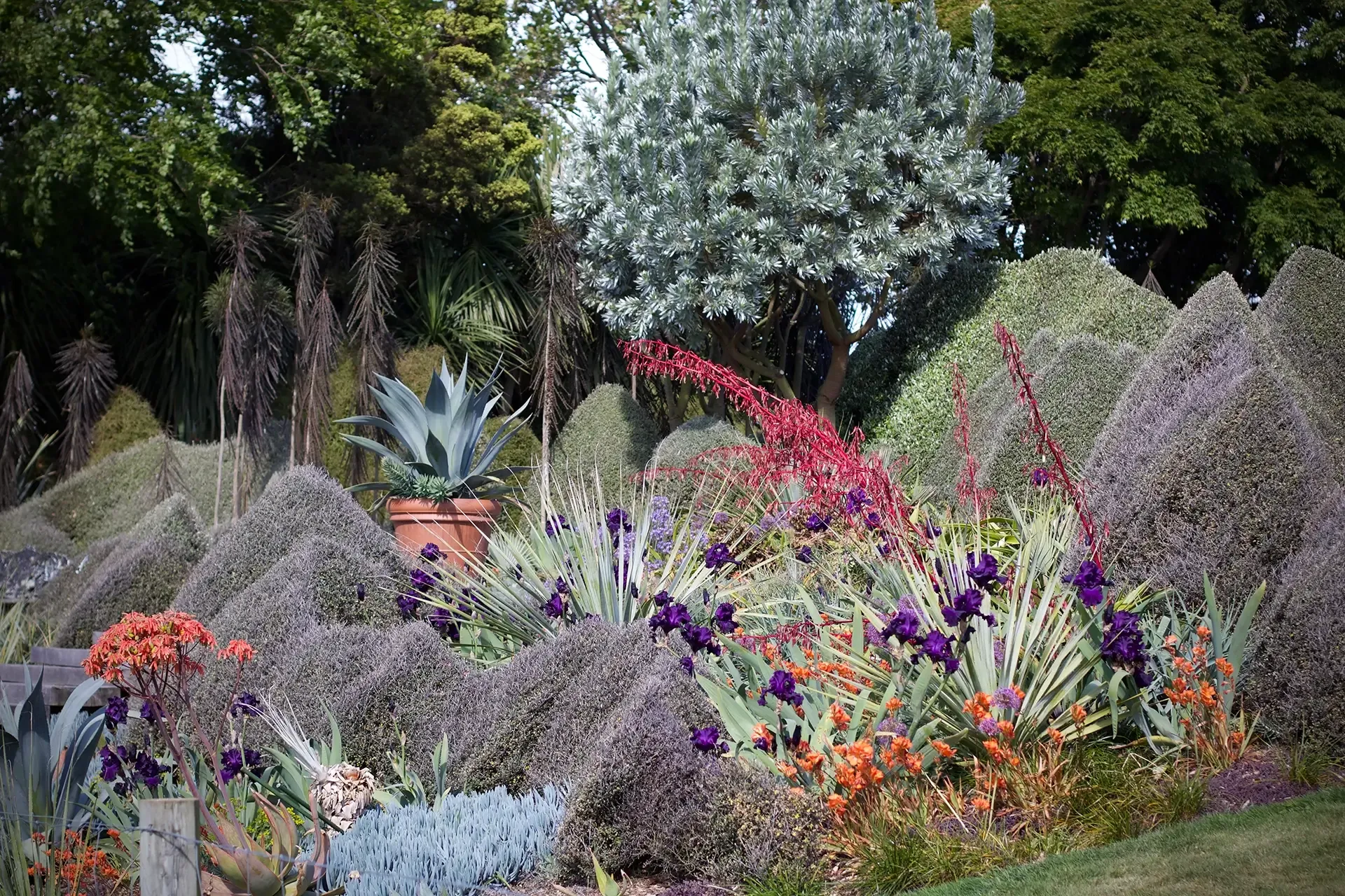 Welton House - Private Garden & Homestead Marlborough NZ