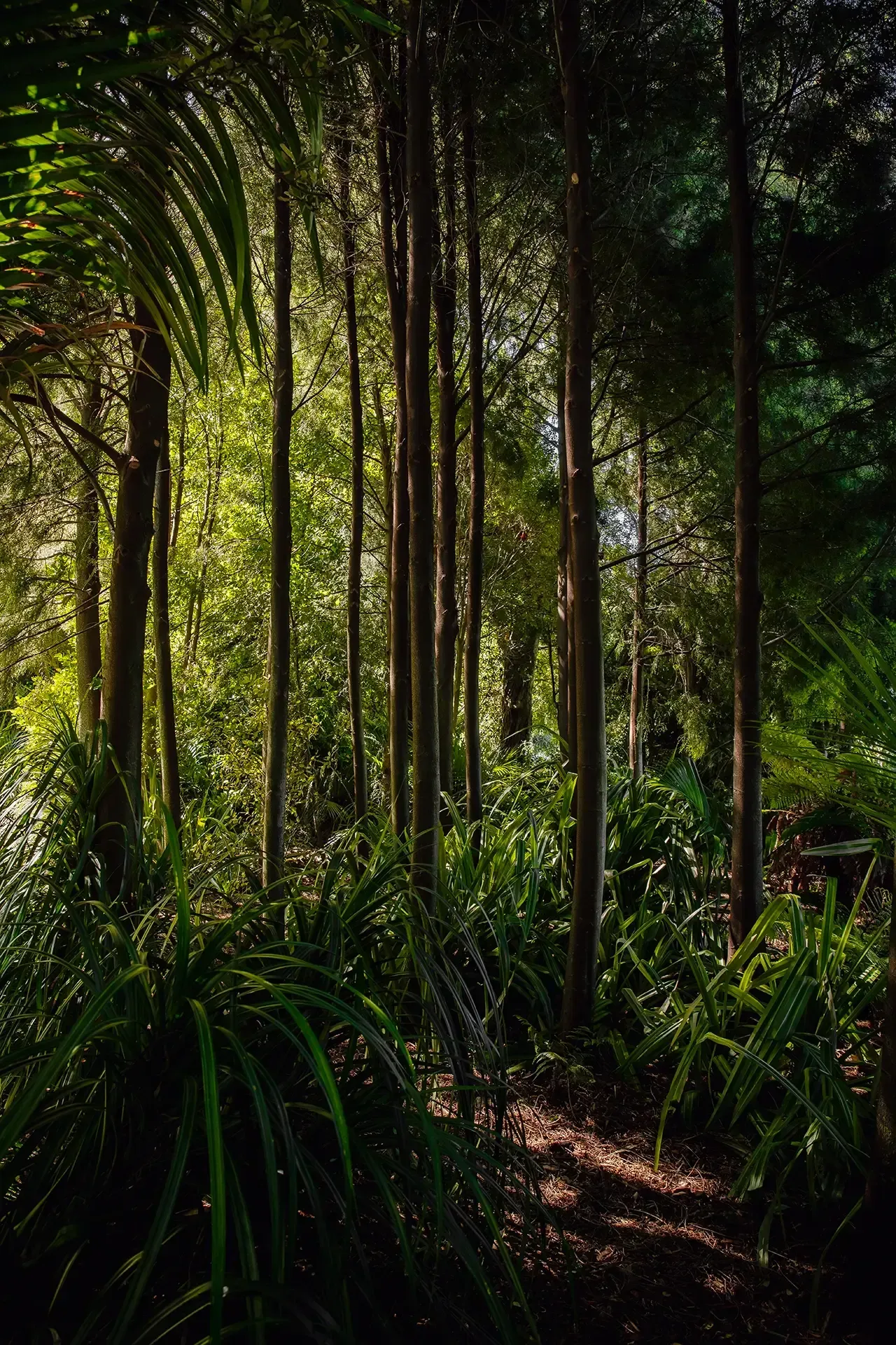 Welton House Gardens in Marlborough NZ