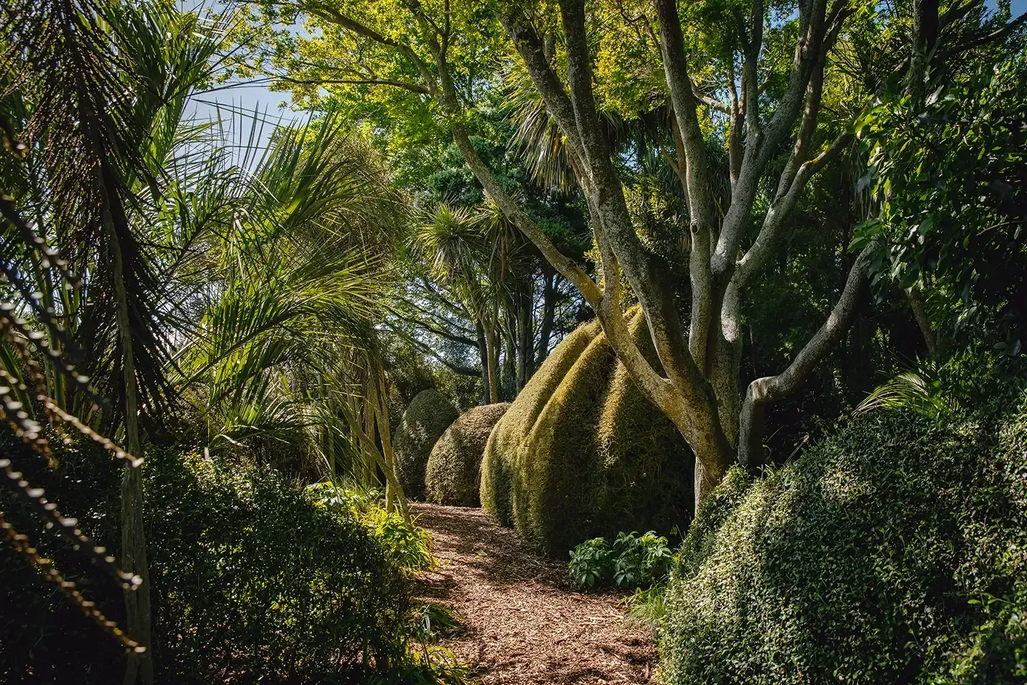 Welton House Gardens in Marlborough NZ