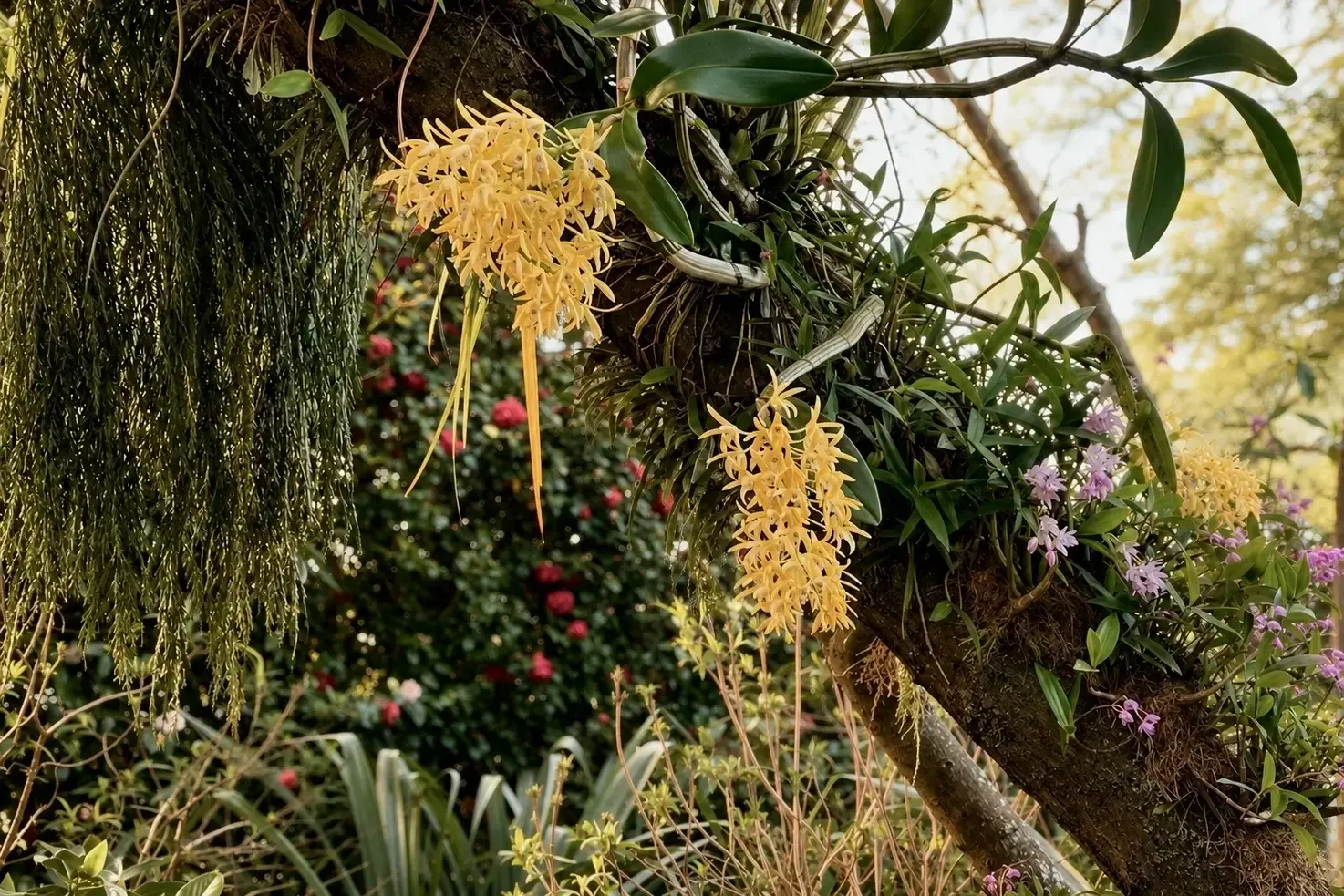 Welton House - Private Garden & Homestead Marlborough NZ