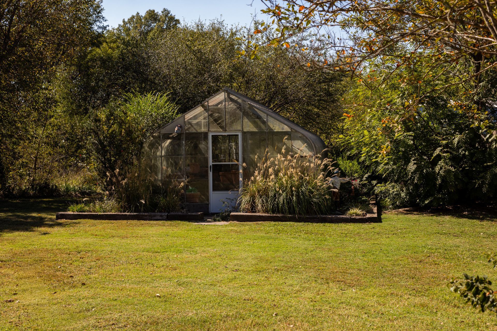 A greenhouse with a white door, surrounded by trees and shrubs in a grassy yard on a sunny day.