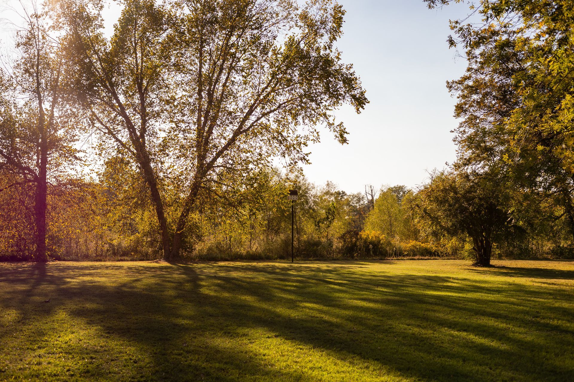 Golden hour sunlight illuminates a grassy park filled with autumn-colored trees and long shadows.