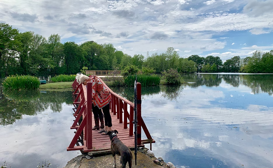 A person wearing a patterned poncho stands on a red footbridge over a calm lake with a dog nearby under a cloudy sky.