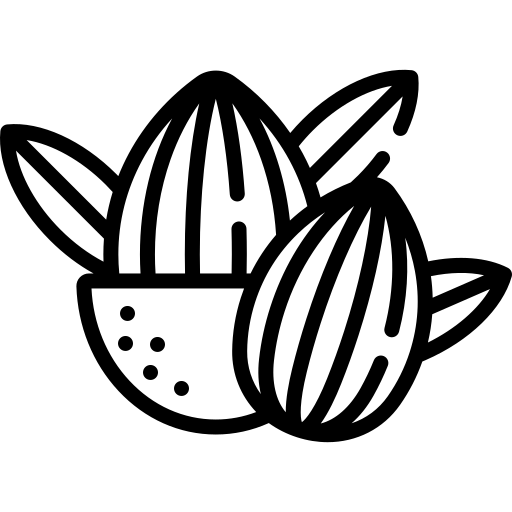 Nuts Icon