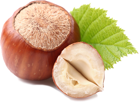 Fresh Nuts Fresh Nuts