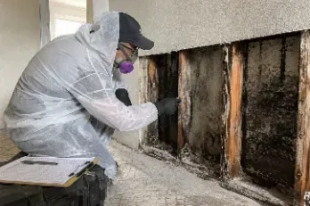DIY mold removal