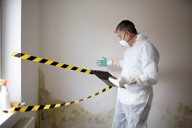 Texas mold remediation laws