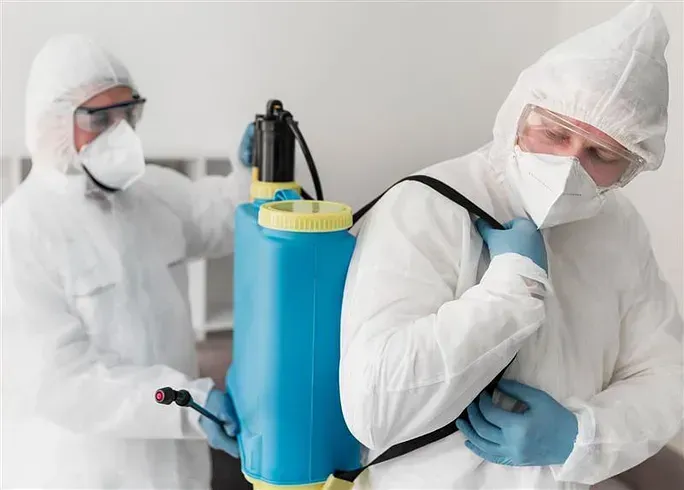 Mold Removal
