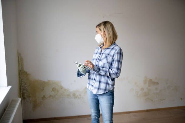 mold and allergies in Montgomery TX