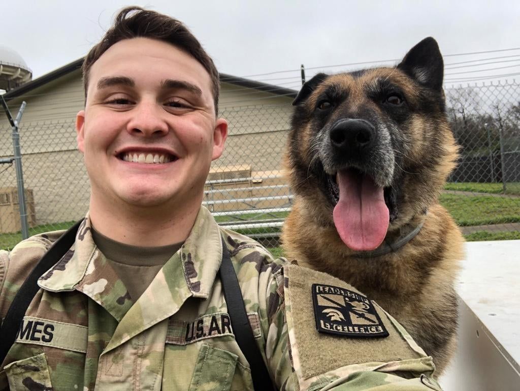 A man in a military uniform is standing next to a german shepherd dog.
