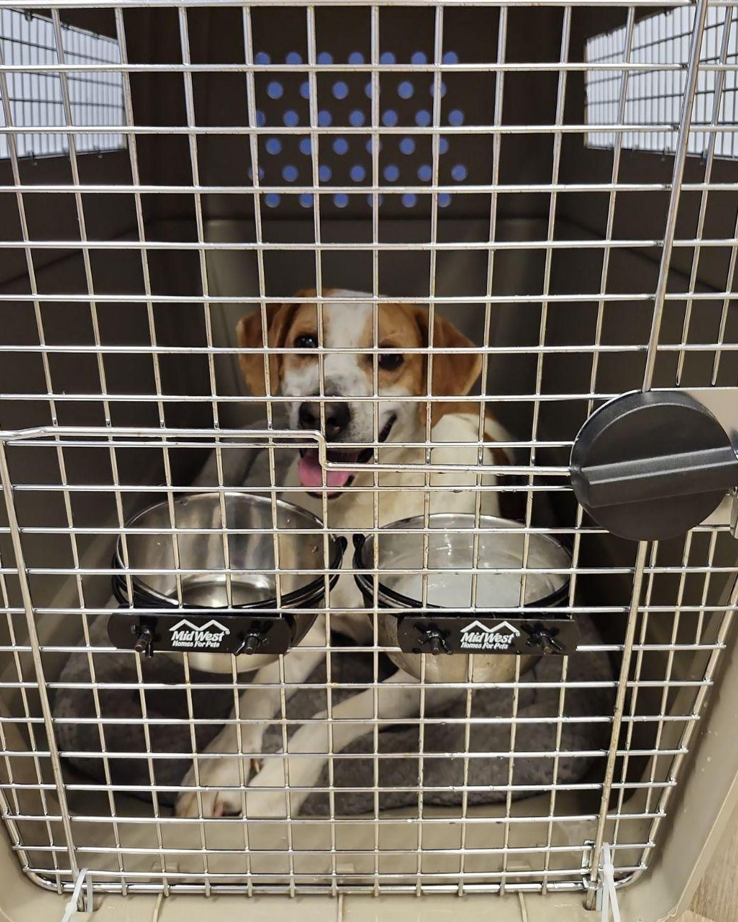 Pet Relocation Services | Denver, CO Pet Relocation Services | Denver, CO