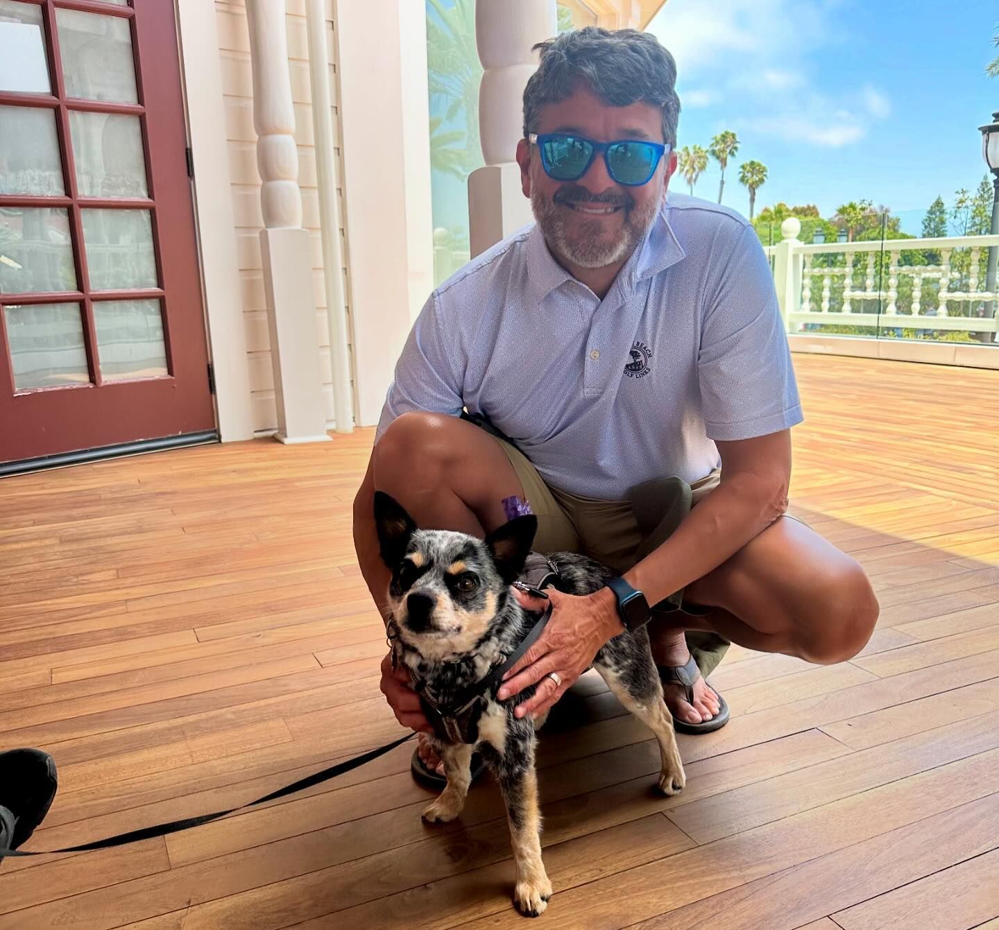 pet relocation los angeles ca pet relocation los angeles ca