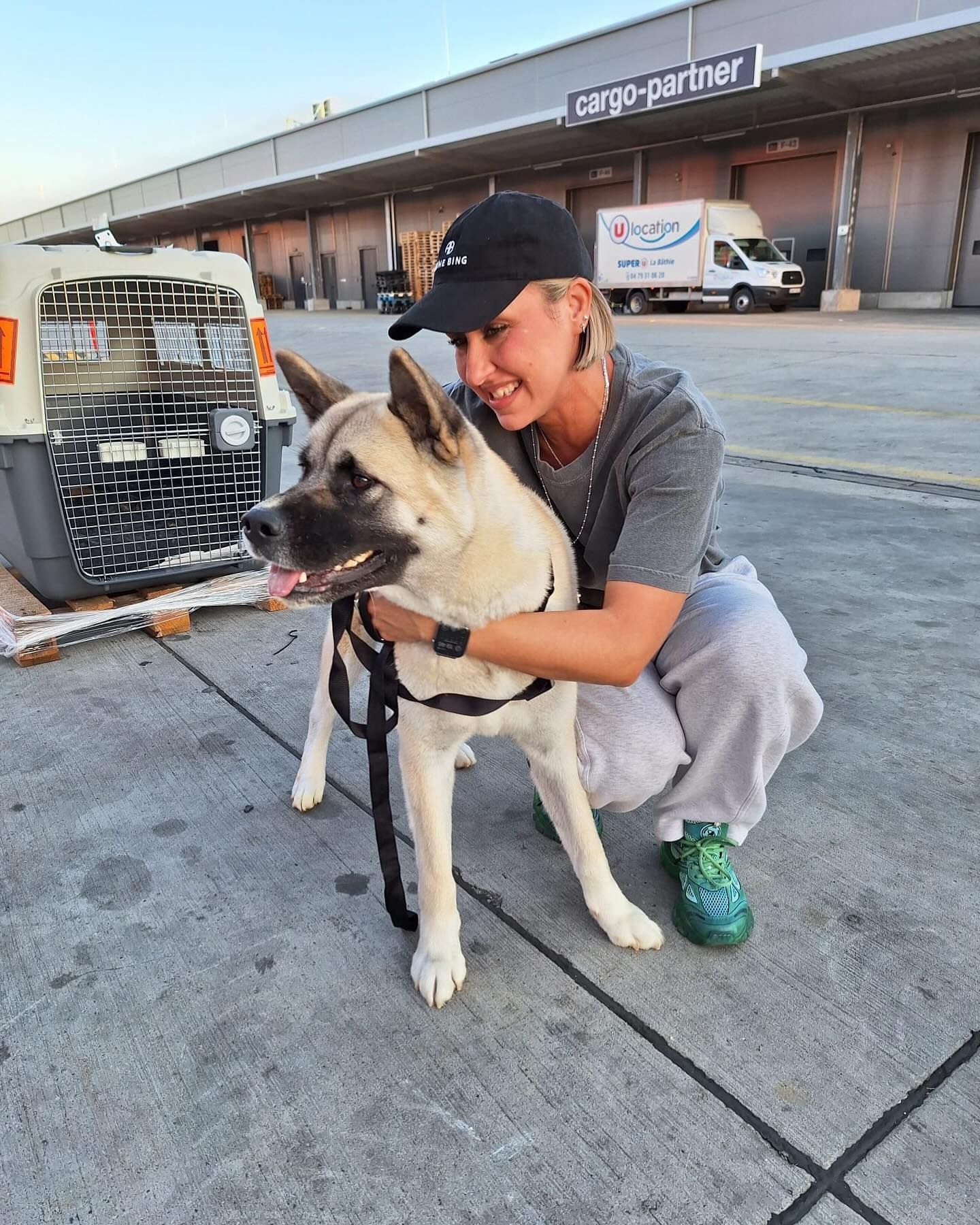 pet relocation washington dc pet relocation washington dc